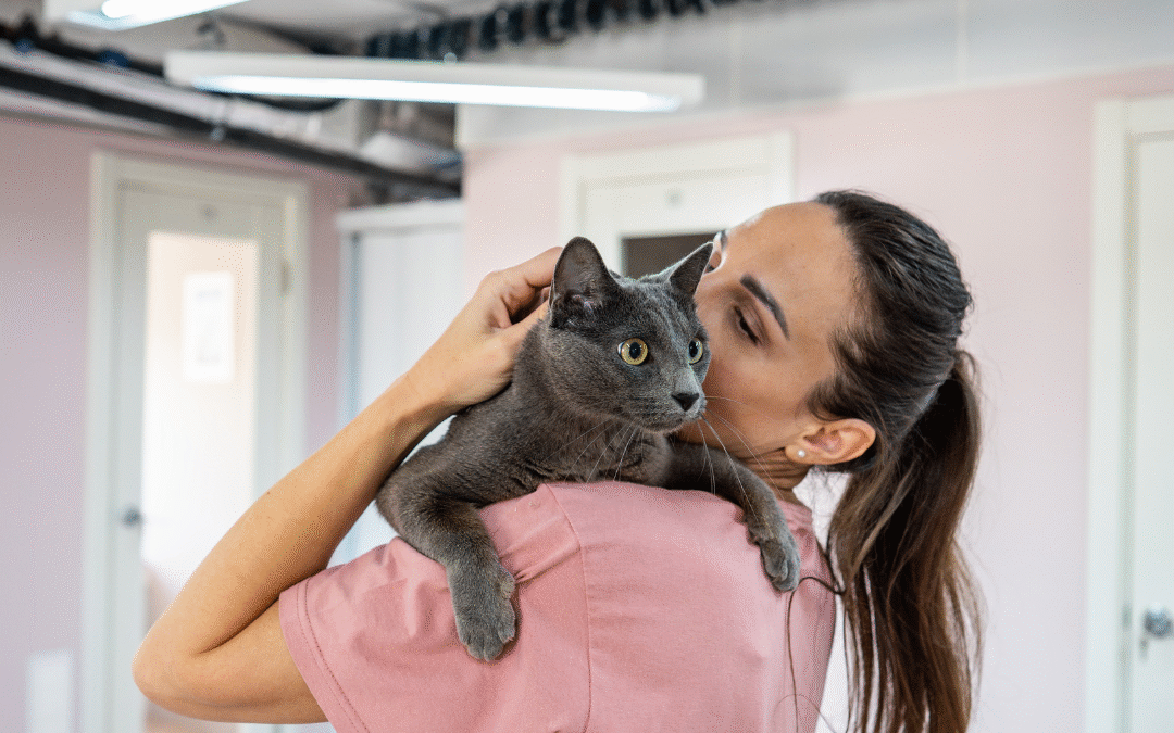 Fourth of July Travel Plans? Why Boarding is the Best Option for Your Pet